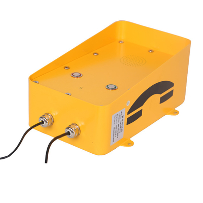 Anpassbares ABS PC-Handset-Intercom mit 3W Lautsprecher 30W Verstärker und DC 12V/AC 220V Gehäuse